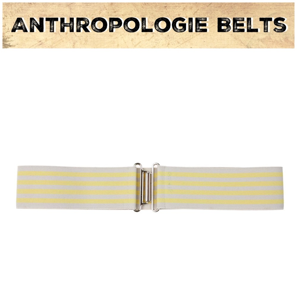 2006 Anthro “Wink Wink Belt”